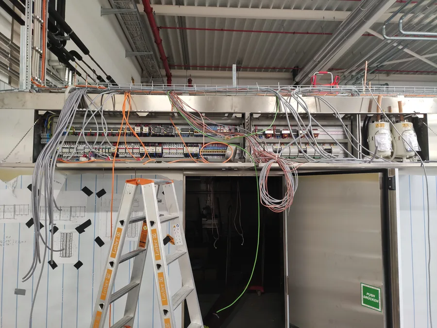 Electrical control for proofing system